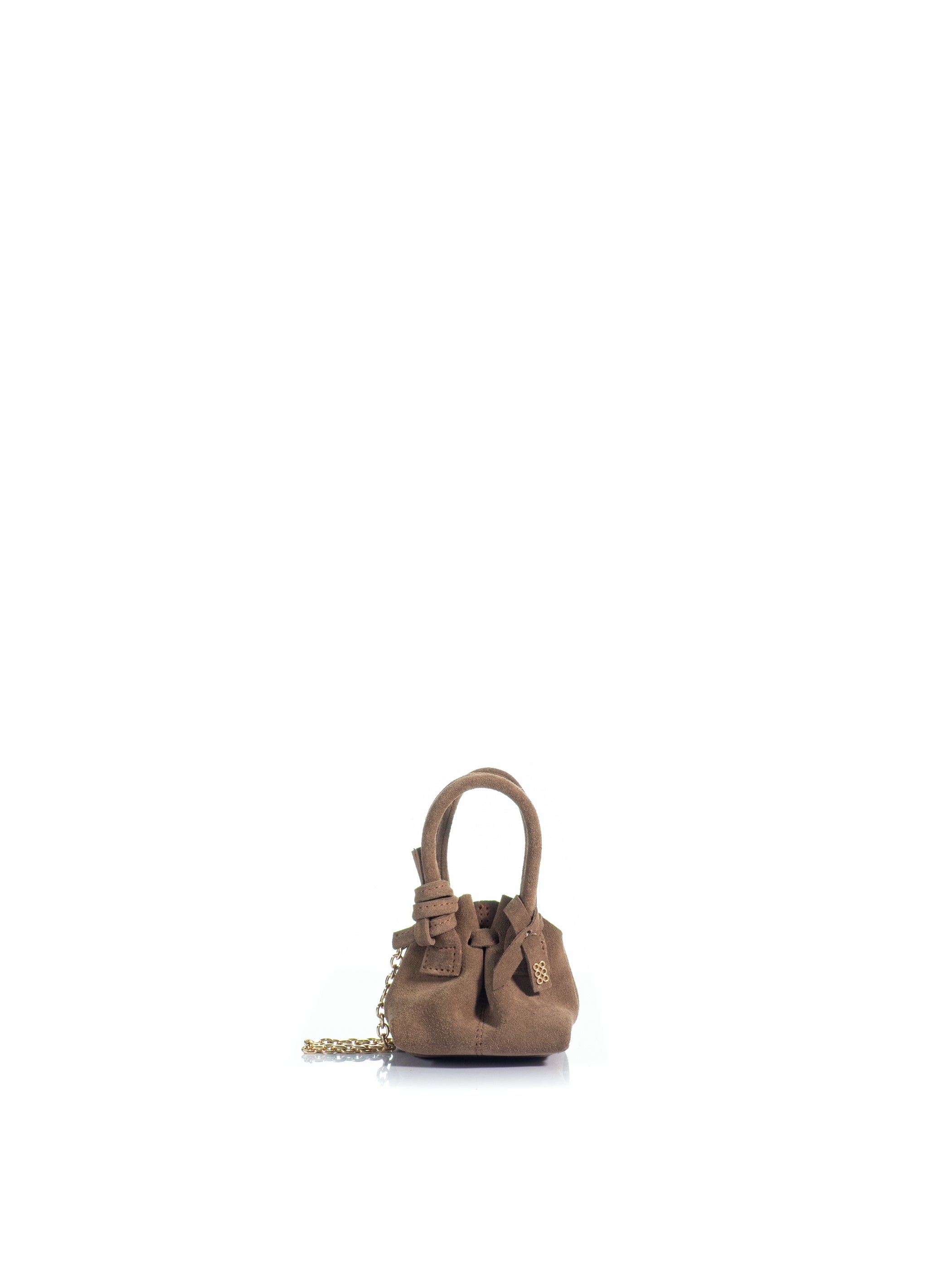 The Swan 2.0 Charm