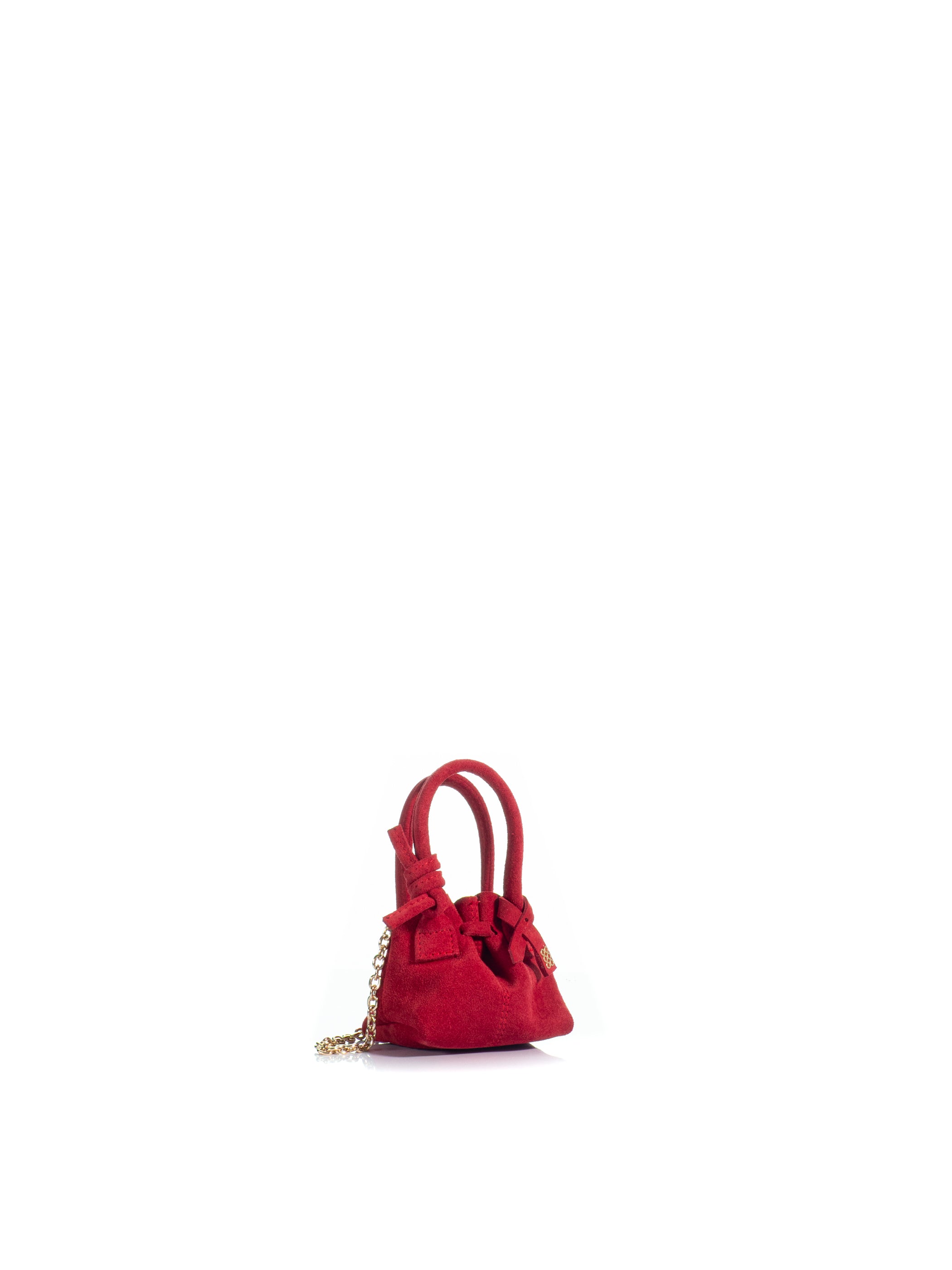 The Swan 2.0 Charm