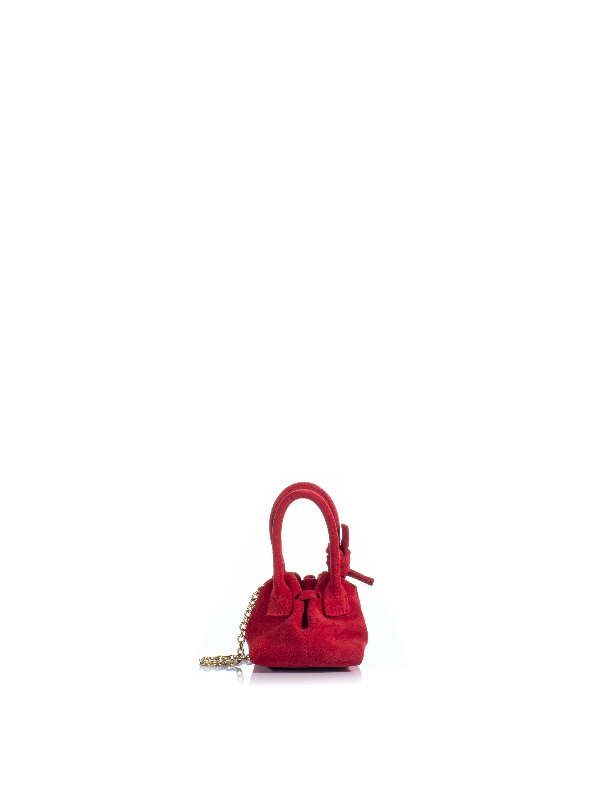 The Swan 2.0 Charm