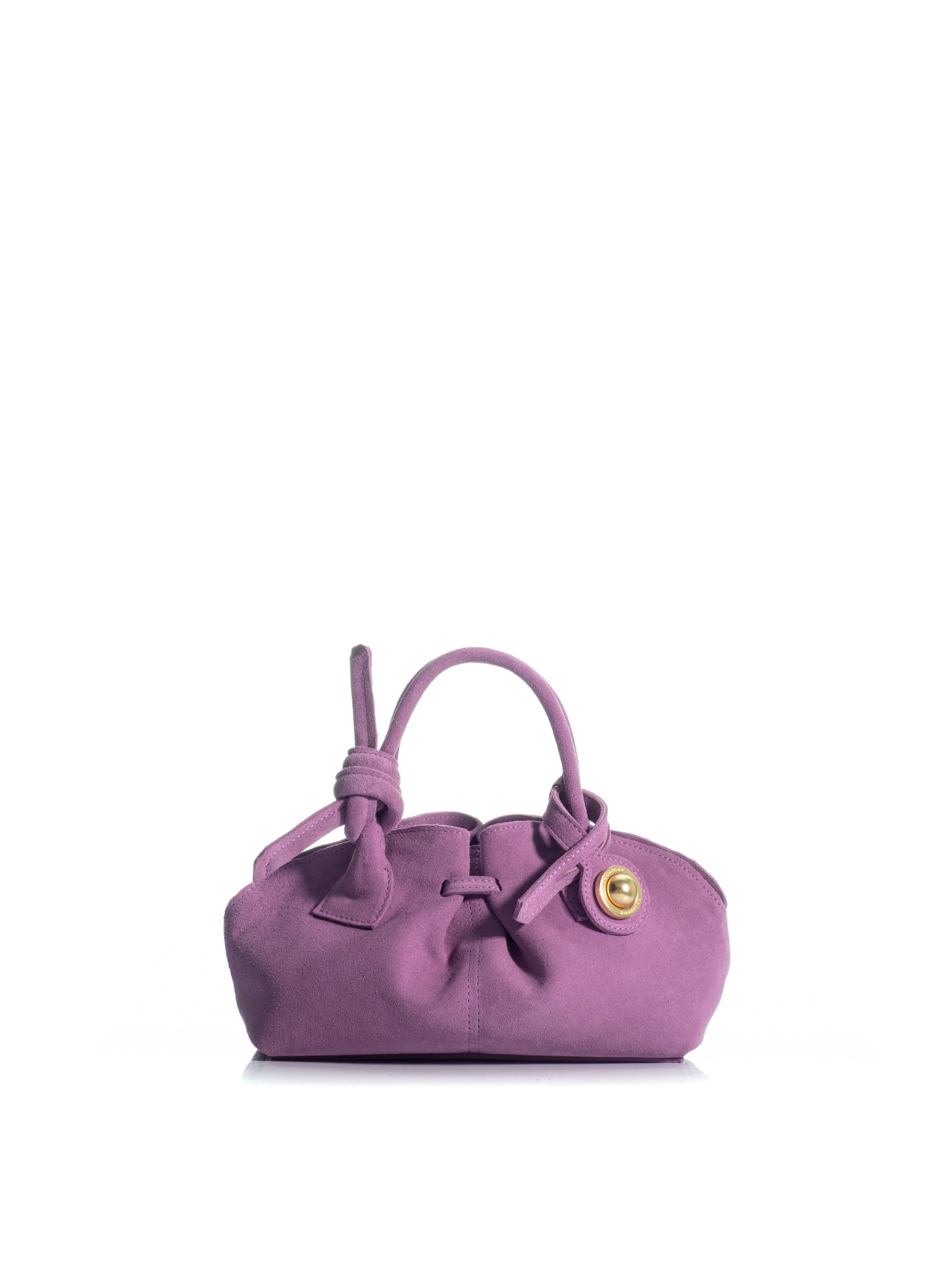 The Swan 2.0 Mini