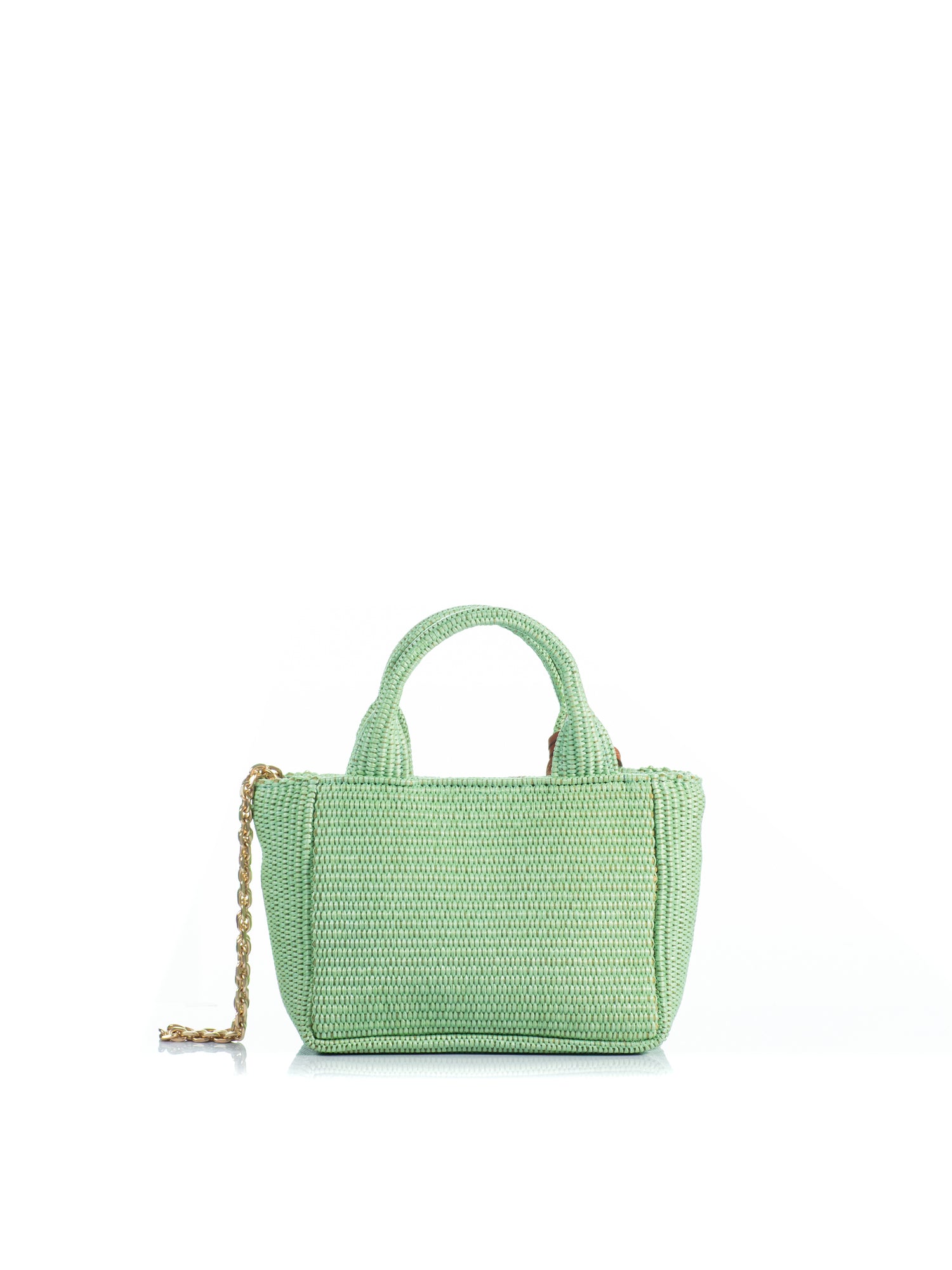The Mini Charming Tote