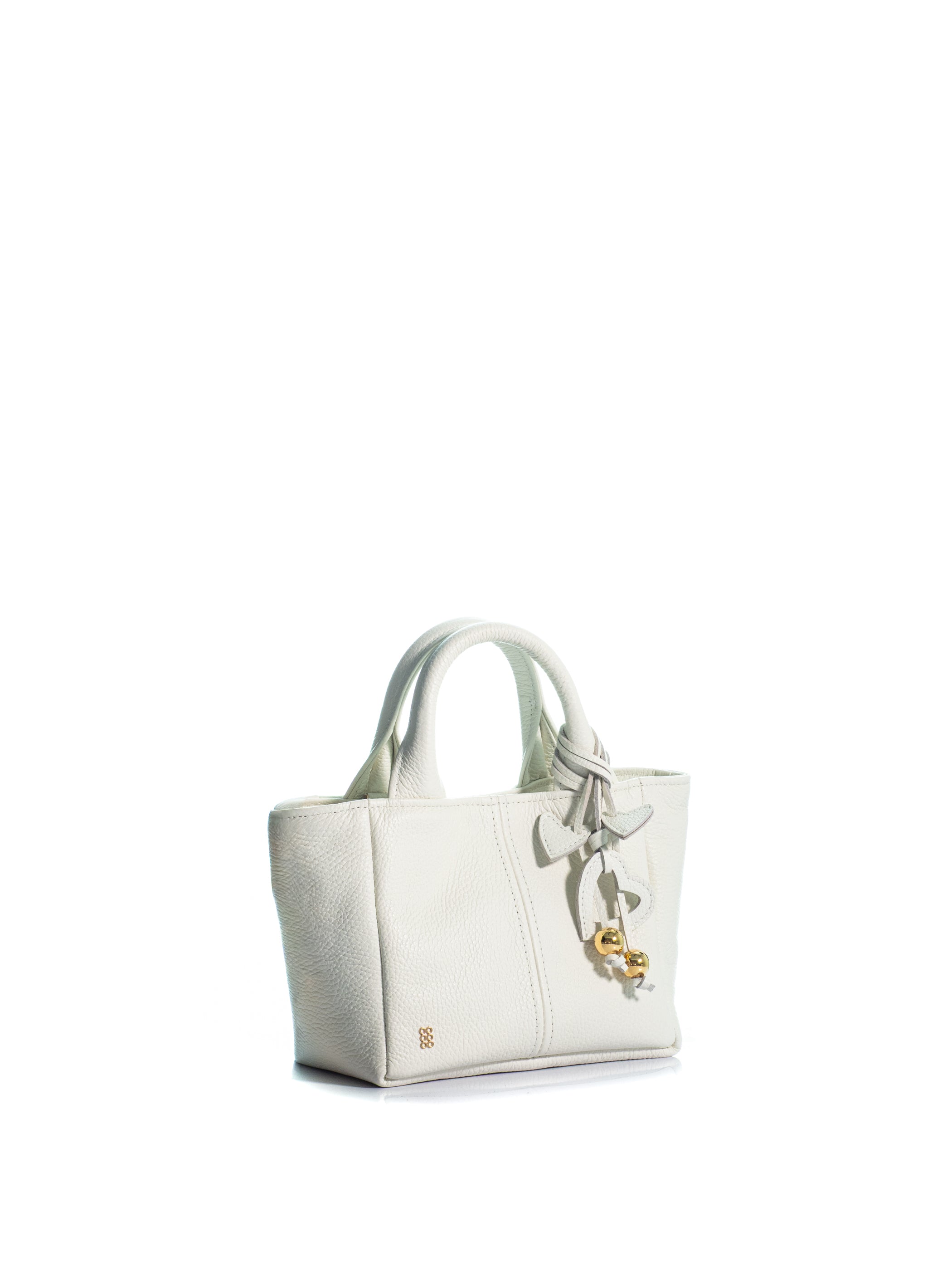 The Mini Charming Tote