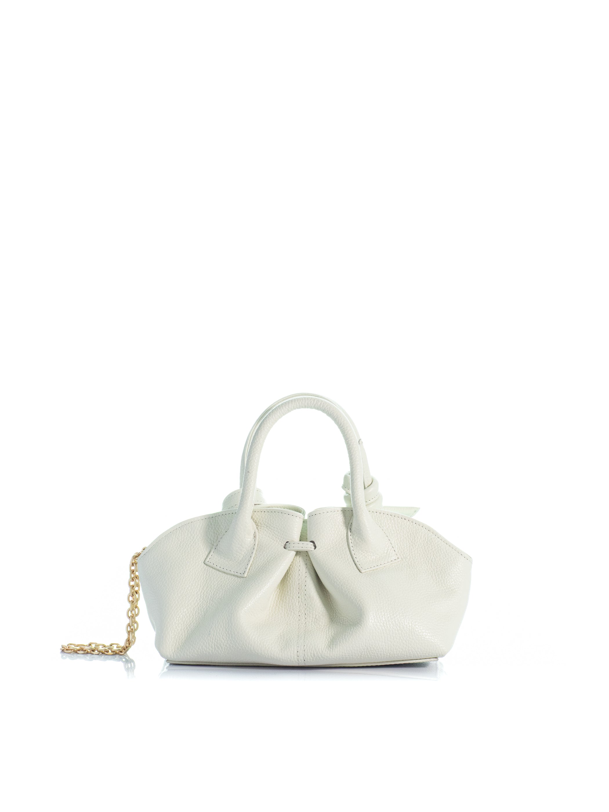 The Mini Swan 2.0