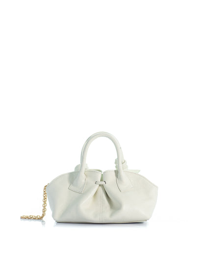 The Mini Swan 2.0